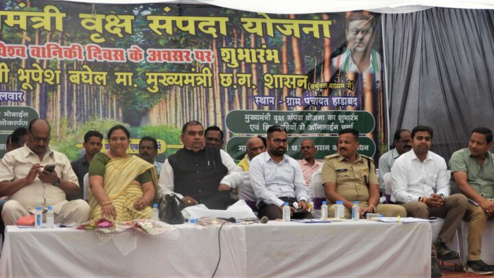 महासमुंद -ग्राम हाड़ाबंद में 2 एकड़ भूमि पर 500 टिशु कल्चर सागौन का पौध रोपण..27 हितग्राहियों के 30.640 एकड़ भूमि में विभिन्न प्रजातियों के कुल 9460 पौधों का रोपण किया जाएगा..