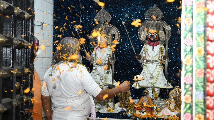 जैतू साव मठ में होलिका पर्व हर्षोल्लास से मनाया गया विशेष पूजा अर्चना में डॉक्टर राम सुंदर दास अध्यक्ष राज्य गौ सेवा आयोग सम्मिलित हुए