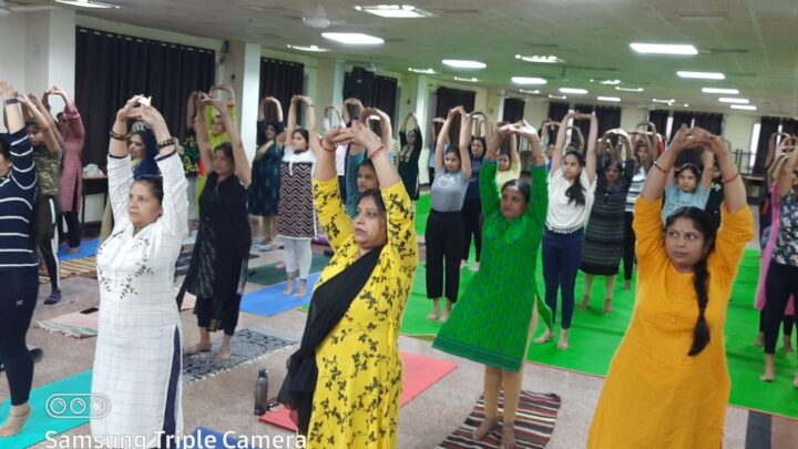 ‘मैक में मैक सॉलिटेयर का अयोजन‘ ‘मैक में मैक साॅलिटेयर का शुभारंभ अप्रैल से‘