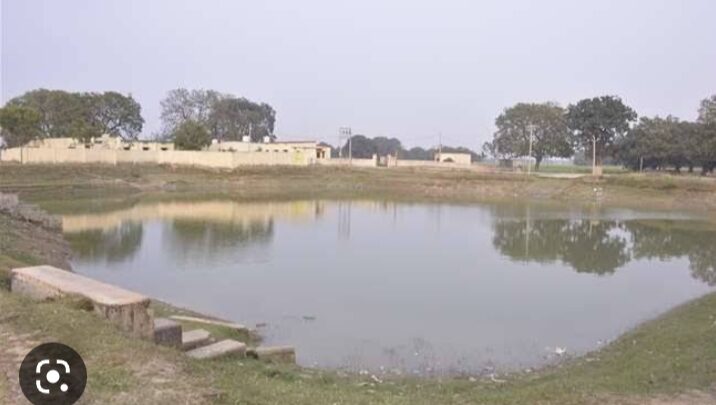 तालाबों पर मंडरा रहा अस्तित्व का संकट, भूमाफियाओं के आगे सरकार ने टेके घुटने: कोमल हुपेंडी, प्रदेश अध्यक्ष, आप