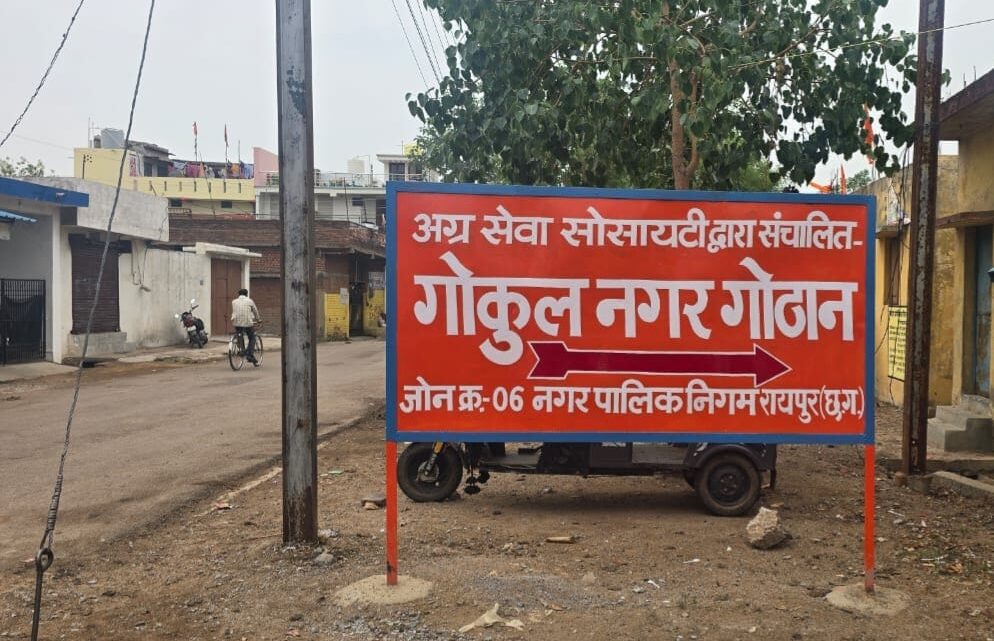 गोकुल नगर गोठान:सेवा, संरक्षण और सामाजिक सहभागिता का केंद्र गोकुल नगर गोठान:सेवा, संरक्षण और सामाजिक सहभागिता का केंद्र