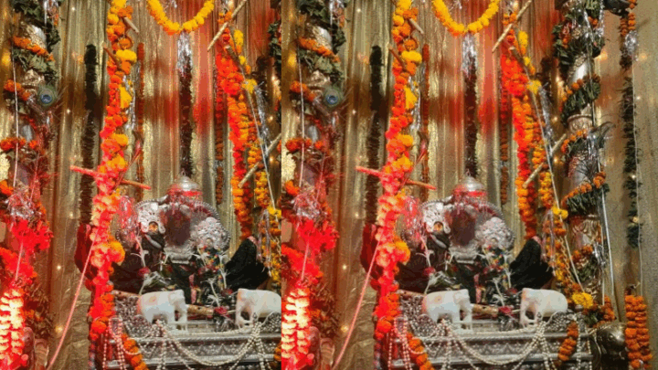 श्री जैतू साव मठ, नया मंदिर पुरानी बस्ती रायपुर में श्रावण झूला महोत्सव