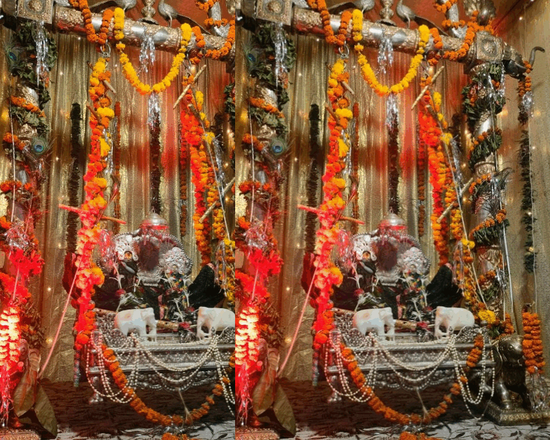 श्री जैतू साव मठ, नया मंदिर पुरानी बस्ती रायपुर में श्रावण झूला महोत्सव