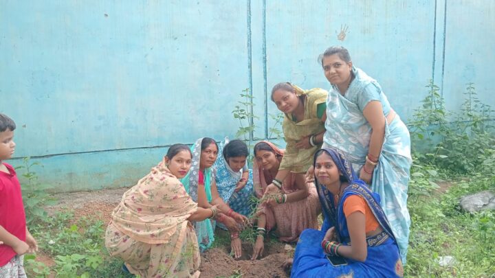“एक पेड़ मां के नाम ” मामा भांचा के महिलाओं ने किया अनेक जगहों पर वृक्षारोपण…