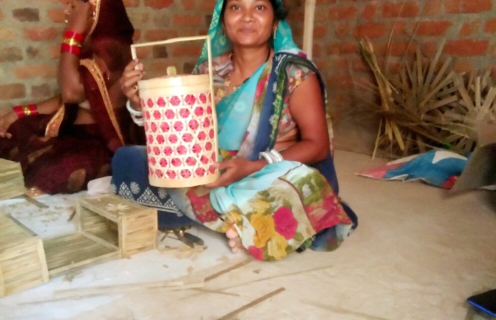 बाँस शिल्प का डिजाइन प्रशिक्षण देने ट्रेनर पहुंचे….बांस के उत्कृष्ट समान बनाने का देंगे प्रशिक्षण….