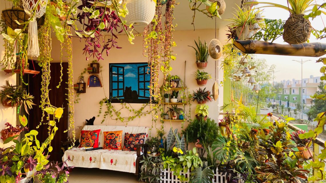 निःशुल्क सर्वश्रेष्ठ गृह उद्यान प्रतिस्पर्धा,प्रविष्टि की अंतिम तिथि 5 दिसंबर,पुरस्कार वितरण 9,10,11, जनवरी 2026