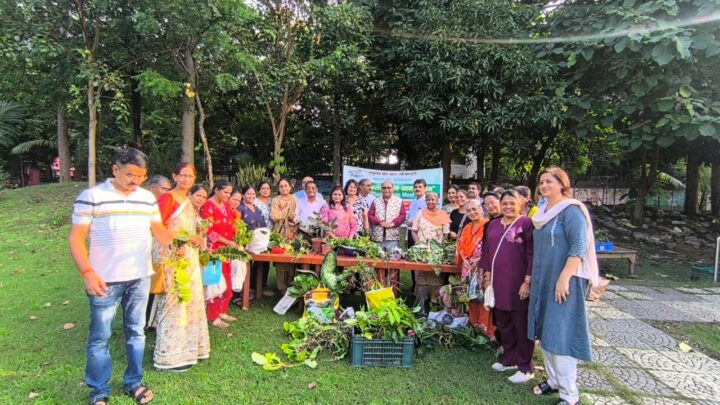 हरियाली बनाने का अनोखा प्रयास-पौधों की कलम अदला बदली”पौधों की कलम आदान-प्रदान -अपने बगीचे को दे नई हरियाली का तोहफा