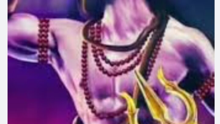 महादेव घाट पर गूंजेगा अद्वैत का शंखनाद दशनाम गोस्वामी समाज द्वारा आदिगुरु शंकराचार्य जयंती पर भव्य आयोजन…