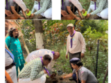 रायपुर में विश्व पर्यावरण दिवस पर स्काउट-गाइड ने किया पौधारोपण, “पेड़ लगाओ भविष्य बचाओ” का दिया संदेश