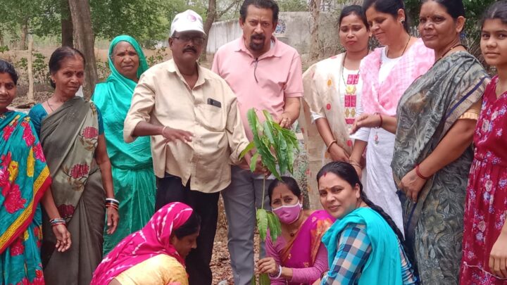 राष्ट्रीय हिंदू वाहिनी महिला संगठन ने किया पौधारोपण….