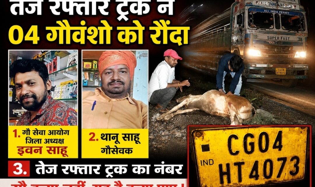 तेज रफ्तार ट्रक ने 4 गौवंशो को रौंद कर फरार…. गौ सेवको ने प्राथमिक उपचार कर गौशाला में करेंगे देखभाल…