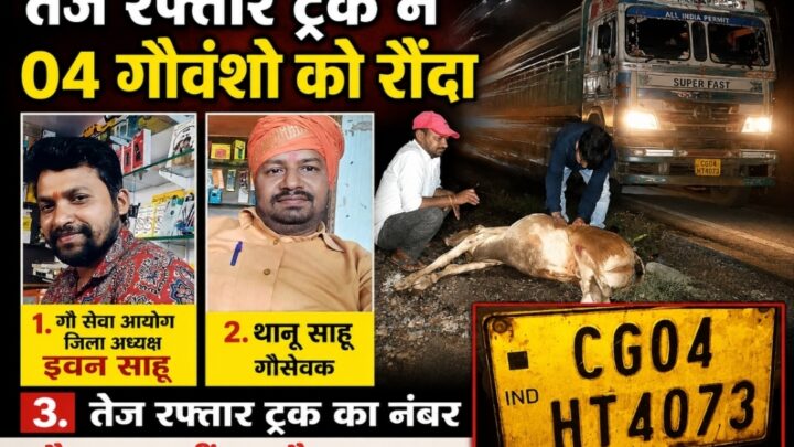 तेज रफ्तार ट्रक ने 4 गौवंशो को रौंद कर फरार…. गौ सेवको ने प्राथमिक उपचार कर गौशाला में करेंगे देखभाल…