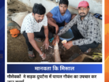 सड़क दुर्घटना में घायल गौवंश की गौसेवकों ने की मरहम-पट्टी, उपचार कर बचाई जान
