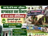 एक पेड़ माँ के नाम’ अभियान ने पकड़ी रफ्तार…बागबाहरा वन विभाग का नया कीर्तिमान, घुंचापाली स्कूल में 70 पौधों का रोपण…