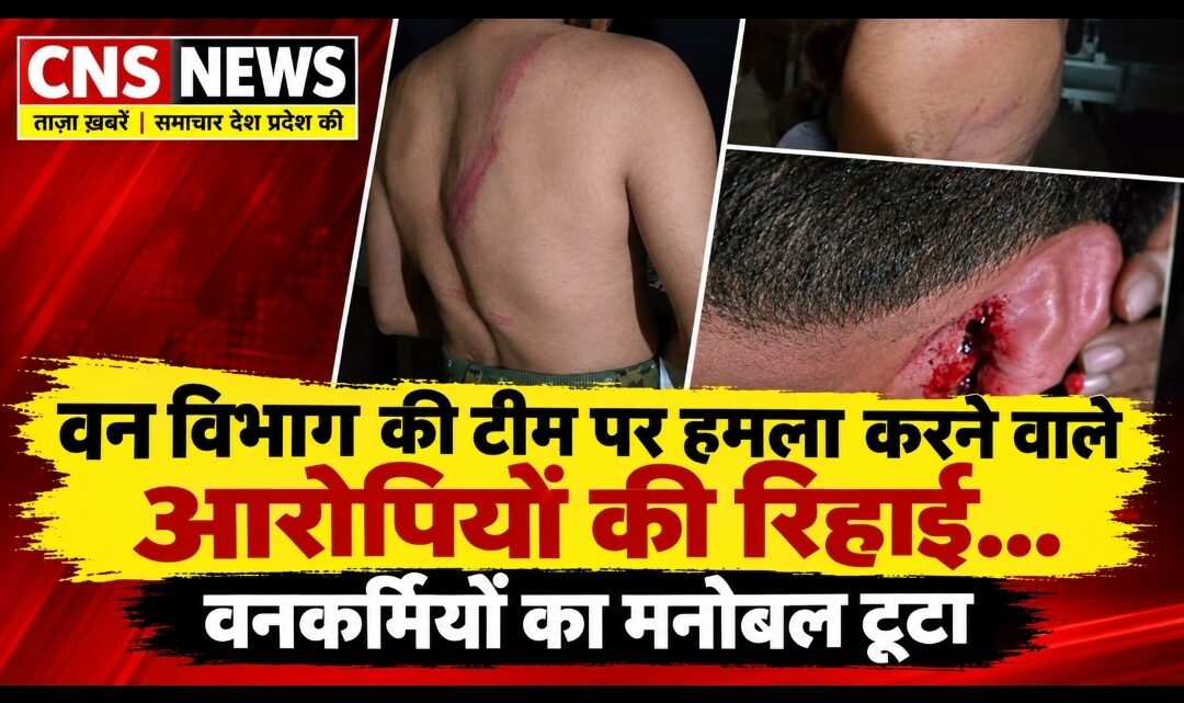 वन विभाग कि टीम पर हमला करने वाले आरोपियों कि रिहाई… वनकर्मियों का मनोबल टुटा…