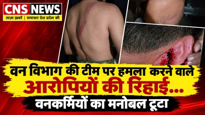 वन विभाग कि टीम पर हमला करने वाले आरोपियों कि रिहाई… वनकर्मियों का मनोबल टुटा…