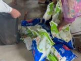 रायपुर में नकली पनीर पर बड़ी कार्रवाई, 750 किलो पनीर नष्ट